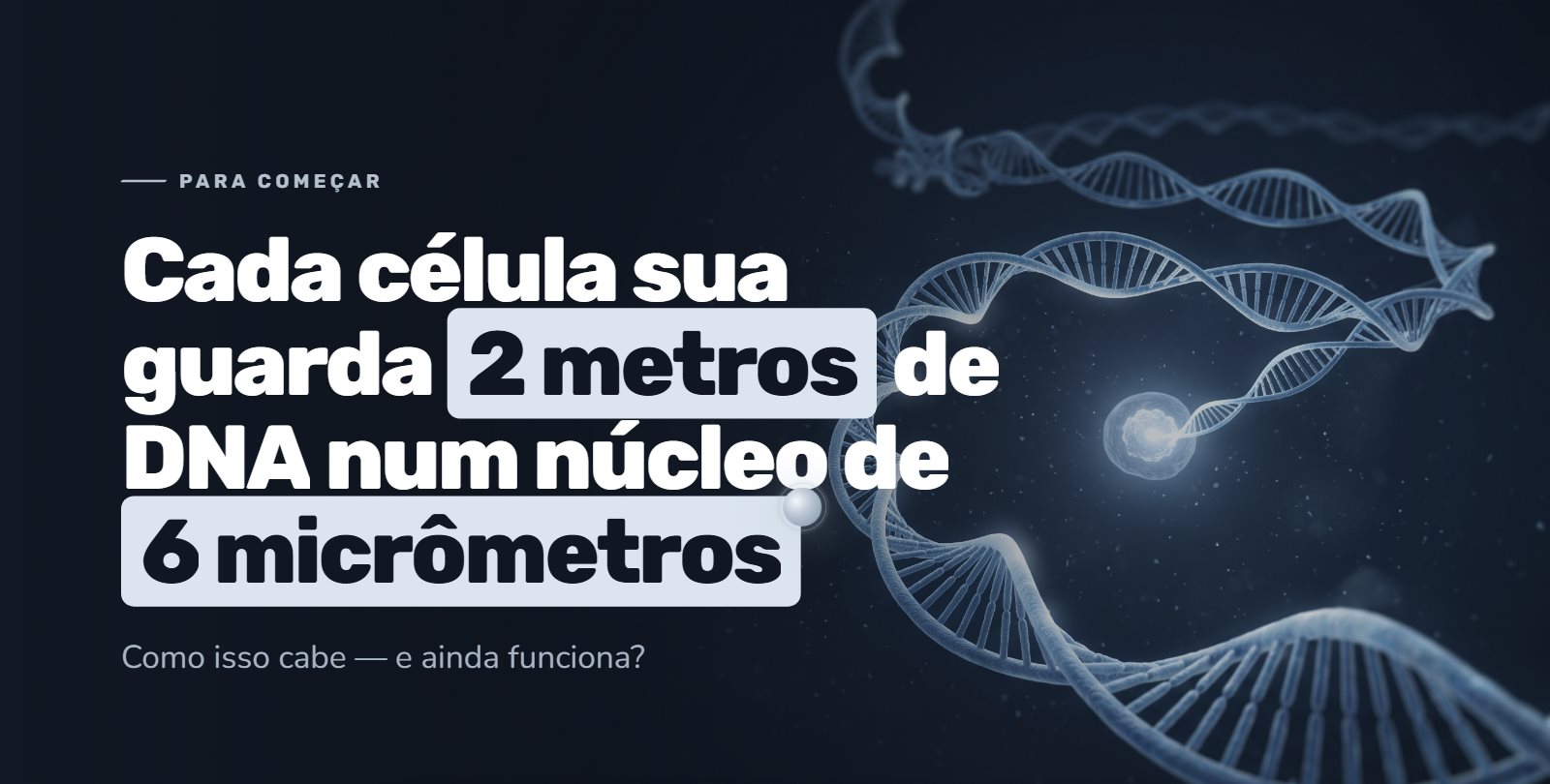 Slide de uma aula real preparada com IA